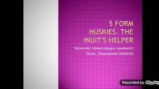 5 form Huskies. The inuits helper