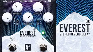 A+ by Shift Line Everest II Stereo Reverb-Delay