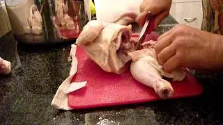 chicken carving with new recon scout San Mai III cold steel