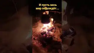 В тайге за сотни вёрст от дома...