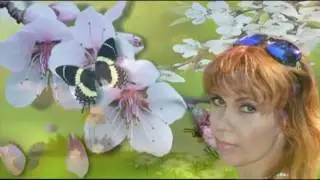 Я ПОДАРЮ ТЕБЕ ЦВЕТЫ, ЦВЕТЫ ЛЮБВИ МОЕЙ ДУШИ