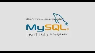 How to INSERT data into table in MySQL?