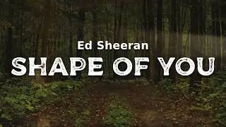 Ed Sheeran - Shape Of You (lyrics)