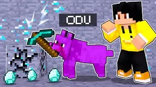 Minecraft aber ich spiele als HILFREICHER HUND!