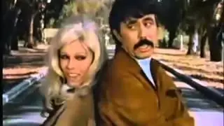 NANCY SINATRA & LEE HAZLEWOOD SUMMER WINE