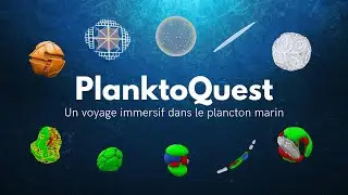 PLANKTOQUEST - EXPERIENCE EN REALITE VIRTUELLE PLANCTON MARIN