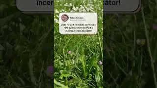 O zi normala de mai, de primăvara #primavara primavara #motivational