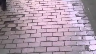 Plitochka