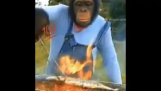 @ilooknoob