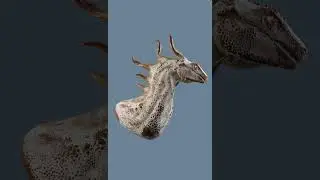 #zbrush  Dragon sculpt #blender #3danimation