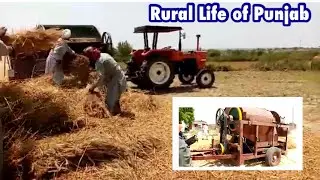 Rural Life of Punjab |  Tractor and Thresher for Wheat crop |