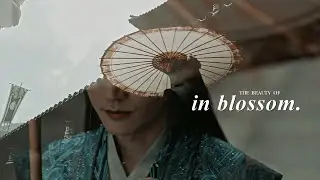 The Beauty of In Blossom.