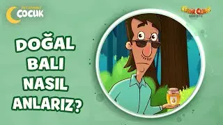 Doğal Balı Nasıl Anlarız? - Cümbür Cemaat Kamptayız