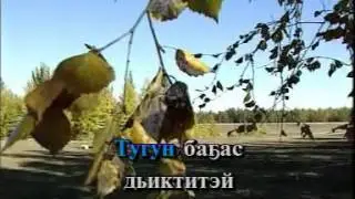 Таммахтар