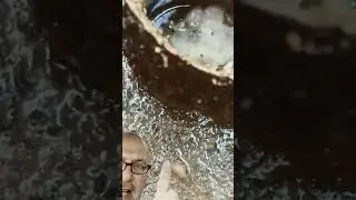 sewer fly larvae in a septic tank, helping to break down solids.