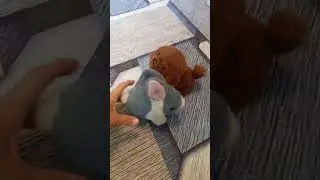 Кролик и собака.