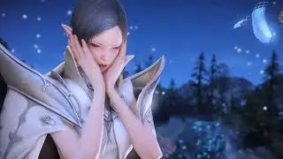 [lost ark] ealyn affection