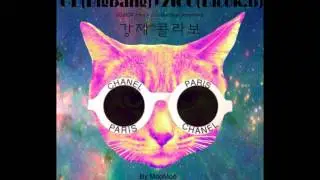 GD&TOP Intro + ZICO MixTape (Attention) - 강제콜라보
