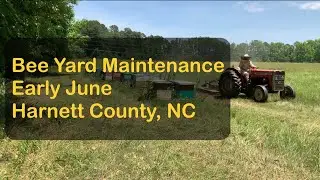 Bee Yard Maintenance | Early June | Harnett County, NC