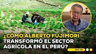 Reformas de Alberto Fujimori en el sector agrario #ADNRPP | ENTREVISTA