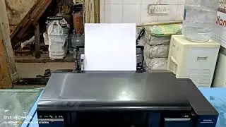 Epson printer L805 nozzle check ✅