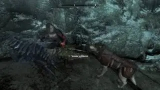Skyrim Nonsense: My Followers Must Really Hate Each Other...