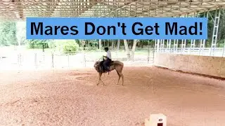 Moody mare doing great until she got mad at me