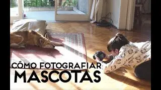 TIPS PARA FOTOGRAFIAR MASCOTAS (Lis lo dice todo - vlog 54)