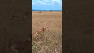 Работа Эпоньоля