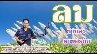 ลม บรรเลงพิณ