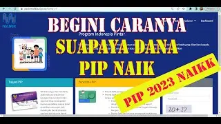 BEGINI CARA SUPAYA DANA PIP NAIK