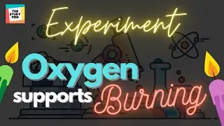 OXYGEN SUPPORTS BURNING | SCIENCE | EXPERIMENT | The Study Pod