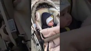 Ежедневные прогулки на коляске abc design zoom