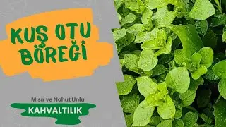 HOW TO MAKE PASTRY WITH BIRD'S FOOD / Stellaria Media / Gluten-Free Herb Pie