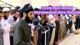 Сура-Аш-Шура! Мухаммад Аль Курди🗣️