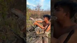 Man climbing high tree to eagle Part  02#shortsfeed #parrotsound #eagles #shortvideo