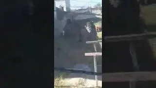 Jogo de paintball parte 1.