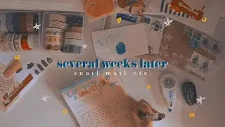 「 🌱snail mail etc. 🐌📫 」