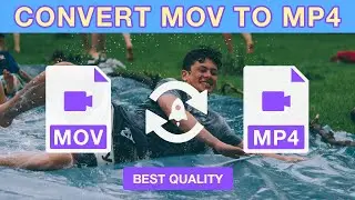 How to Convert MOV to MP4 with the Best Quality – Windows and Mac