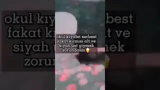 Belçikada okula gitmek