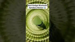 Budget Bluetooth Speakers 2023🔥 #shorts #bluetooth #speaker