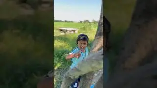 Takat👊badhane 🍃wala nimbu🍈#shortfeed #funny #trending #comedy #viralvideo #ytshorts
