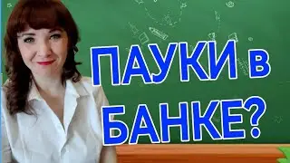 Пауки в банке?