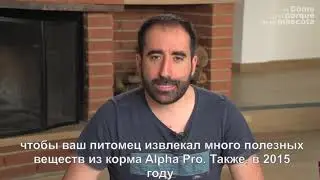Самый профессиональный корм для кроликов, морских свинок, шиншилл и хомяков "ALPHA PRO" CUNIPIC