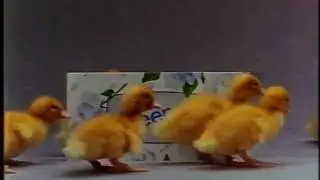 1988 ad break (w/Kleenex chicks) + atv-10 news update + program return