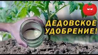 Дедовское удобрение