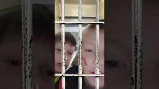 20 августа 2024 г.