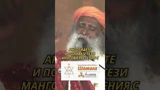 Правилните неща в живота работят за всеки 