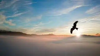Spirit to Spirit