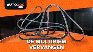 Hoe een mulitiriem te vervangen [HANDLEIDING AUTODOC]